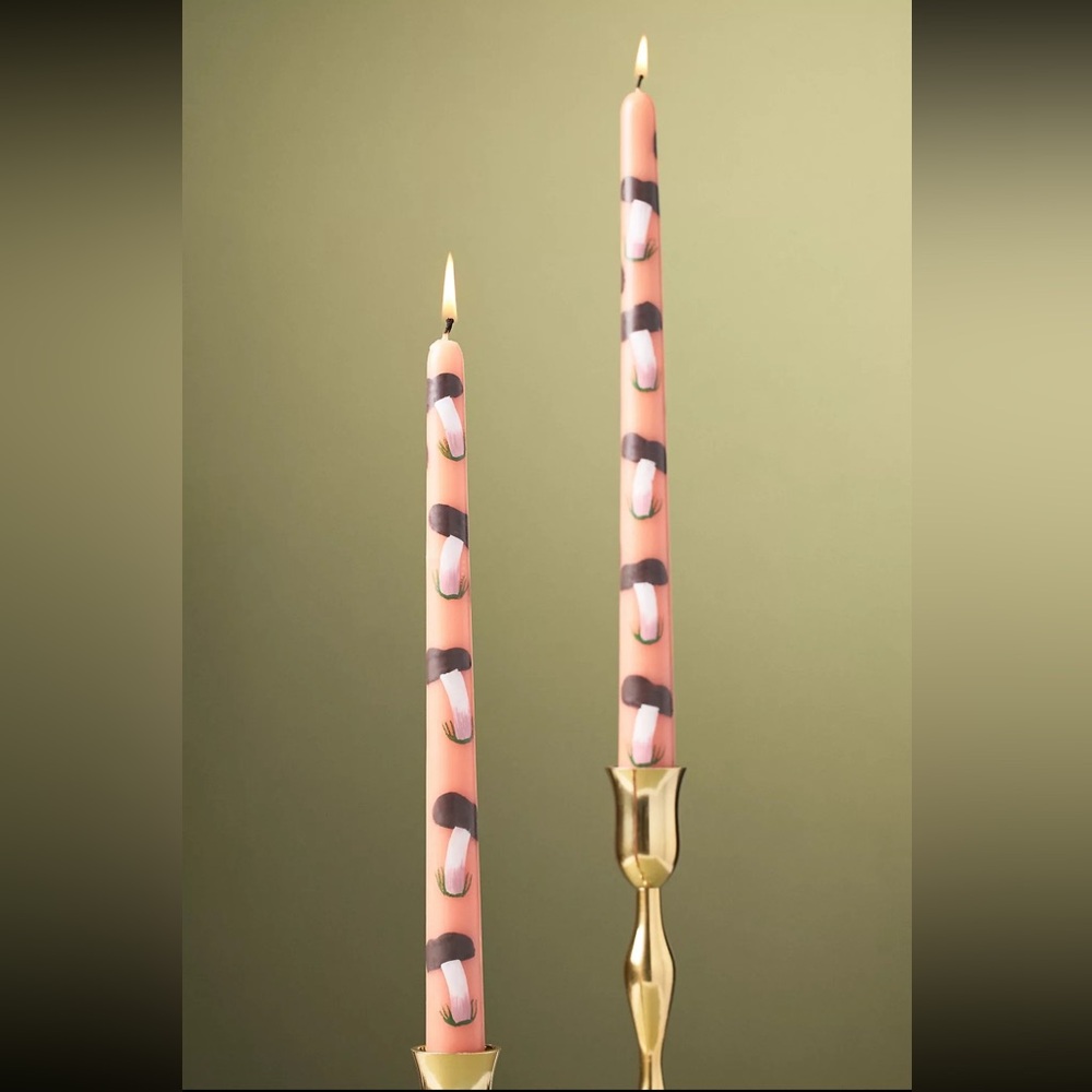 Anthropologie Forage Fall Icon Taper Candles, Set of 2, NIB 🍄‍🟫 🕯️